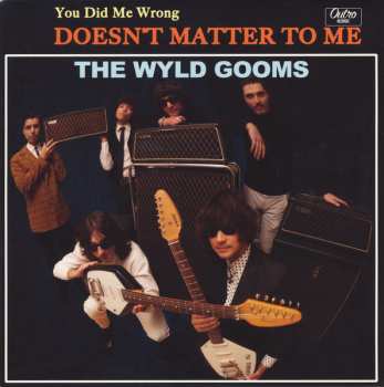 SP The Wyld Gooms: You Did Me Wrong / Doesn't Matter To Me 572224