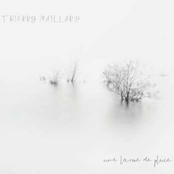 Album Thierry Maillard: Une Larme De Pluie