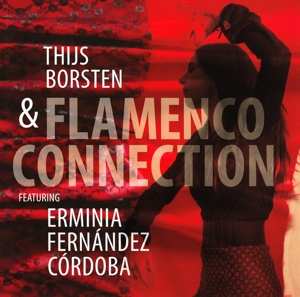 CD Thijs Borsten: Flamenco Connection 401982