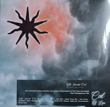 2LP This Immortal Coil: The Dark Age Of Love 485058