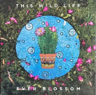 Ever Blossom