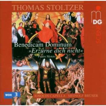 CD Thomas Stoltzer: Benedicam Dominum: Psalm Motets 560547