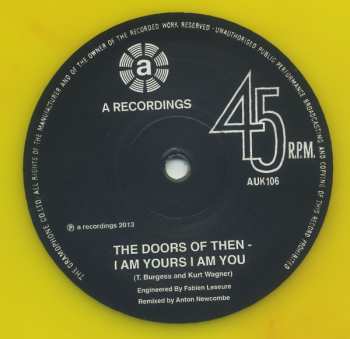 LP Tim Burgess: The Doors Of Then - I Am Yours, I Am You CLR 62081