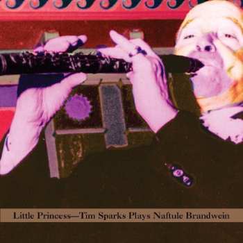 Album Tim Sparks: Little Princess - Tim Sparks Plays The Music Of Naftule Brandwein