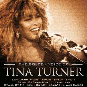 2CD Tina Turner: The Golden Voice Of 637218