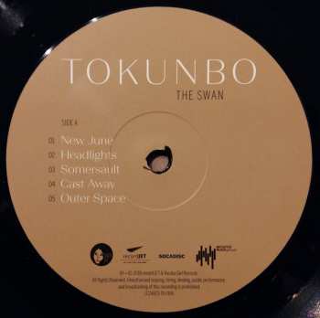 LP Tokunbo Akinro: The Swan 300232