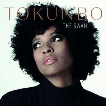 LP Tokunbo Akinro: The Swan 300232