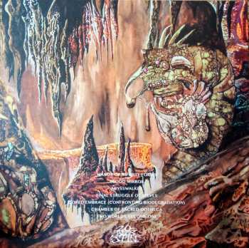 LP Tomb Mold: Manor Of Infinite Forms 528488