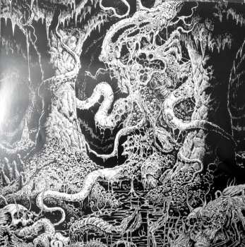 LP Tomb Mold: Manor Of Infinite Forms 528488