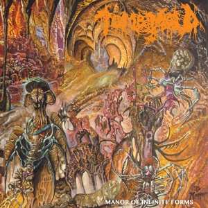 LP Tomb Mold: Manor Of Infinite Forms 528488