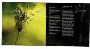 CD Tonight Alive: The Other Side 597761