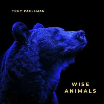 Album Tony Paeleman: Wise Animals