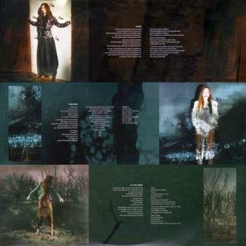 2LP Tori Amos: Native Invader 24732