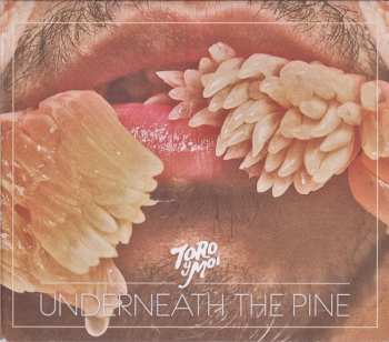 CD Toro Y Moi: Underneath The Pine 638028