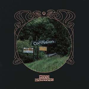 LP Trace Mountains: House of Confusion CLR 415556