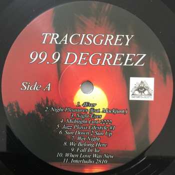 LP Tracisgrey: 99.9 Degreez 649541