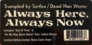 LP Trampled By Turtles: Always Here Always Now CLR | LTD 649930