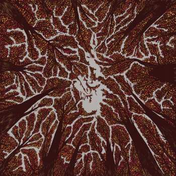 LP Trash Boat: Crown Shyness CLR 570675