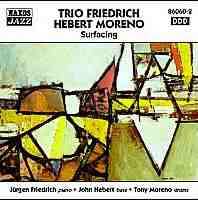 Album Trio Friedrich Hebert Moreno: Surfacing