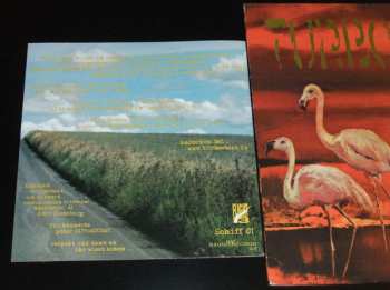 LP Turbostaat: Flamingo LTD 638870