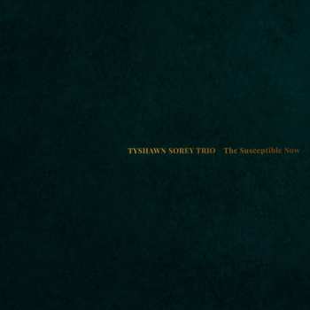 Album Tyshawn Sorey Trio: The Susceptible Now