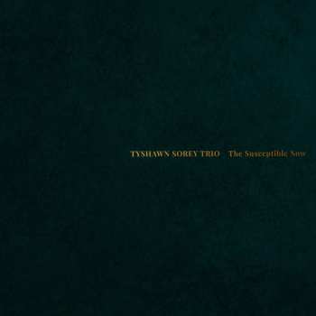 CD Tyshawn Sorey Trio: The Susceptible Now 640755