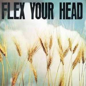 LP Various: Flex Your Head 85091