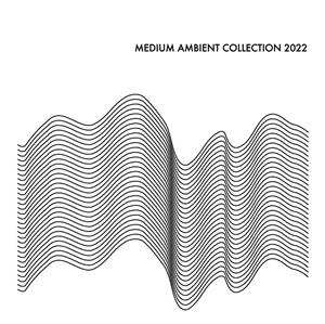 2LP Various: Medium Ambient Collection 2022 528584