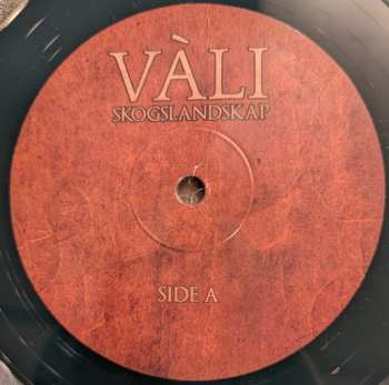 LP Vàli: Skogslandskap CLR | LTD 575635