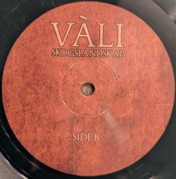 LP Vàli: Skogslandskap CLR | LTD 575635