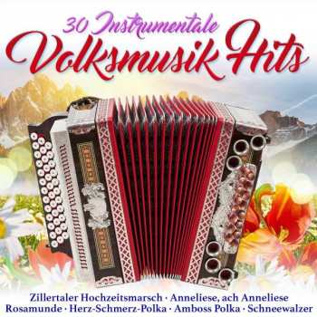 Album Various: 30 Instrumentale Volksmusik-hits