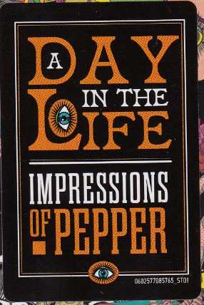 CD Various: A Day In The Life: Impressions Of Pepper 435983