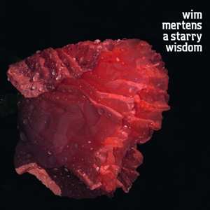 Album Various: A Starry Wisdom