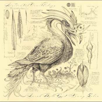 CD Various: Accidental Ornithology 633317