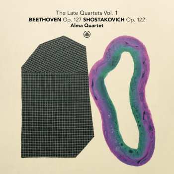 Album Various: Alma Quartett - The Late Quartets Vol.1