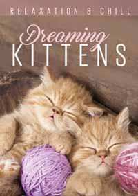 Album Various: Relax: Dreaming Kittens