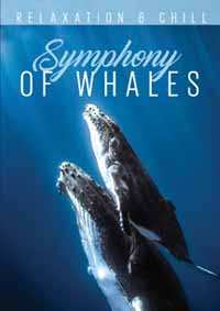 Album Various: Relax: Symphony Of Whales