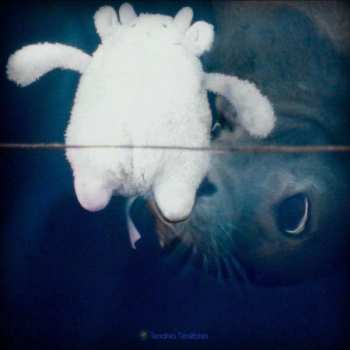 Album Various: Tendres Ténèbres