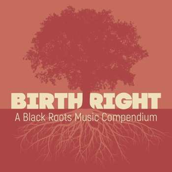 2CD Various: Birth Right: A Black Roots Music Compendium 482184