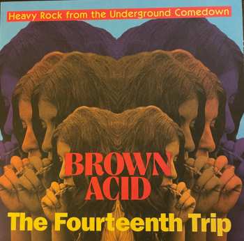 Album Various: Brown Acid: The Fourteenth Trip