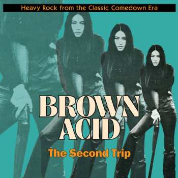 Album Various: Brown Acid: The Second Trip (Heavy Rock From The Classic Comedown Era)