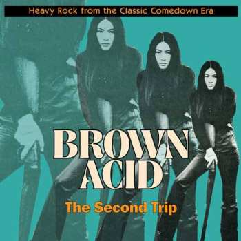 LP Various: Brown Acid: The Second Trip (Heavy Rock From The Classic Comedown Era) 614244