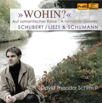 Album Various: David Theodor Schmidt - Wohin?