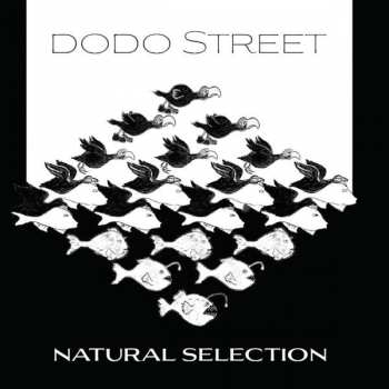 Album Various: Dodo Street