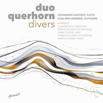 CD Various: Duo Querhorn - Divers 635893