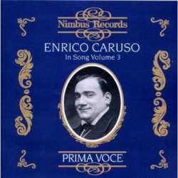 2CD Various: Enrico Caruso - In Song 629687