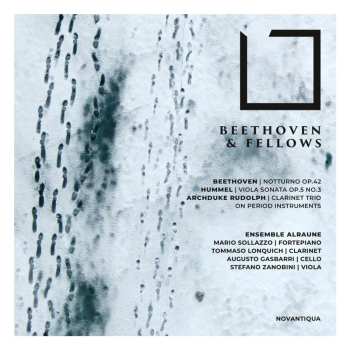 CD Various: Ensemble Alraune - Beethoven & Fellows 623298