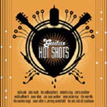 CD Various: Guitar Hot Shots 450320