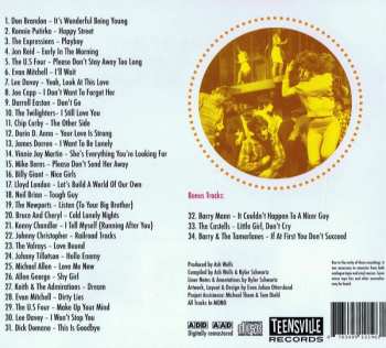 CD Various: It's Wonderful Being Young! (Precious Pop Obscurities & Rarities 1962-1967) 440022