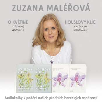 Album Various: Maléřová: O Květině & Houslový Klíč